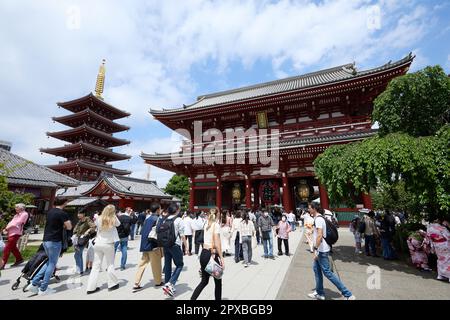 Ausländische Touristen besuchen am 1. Mai 2023 den Sensoji-Tempel im Unterhaltungsviertel Asakusa, Tokio in Japan. (Yohei Osada/AFLO) Stockfoto