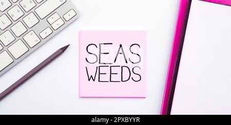 Text mit Inspiration Seetang, Geschäftsansatz große Algen, die im Meer wachsen oder Meerespflanzen Flora Stockfoto