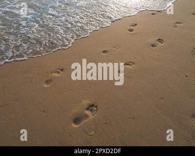 Fußabdrücke menschlicher Füße auf dem Sand in der Nähe des Wassers am Sandstrand des Resorts. Quarzsand bei Sonnenuntergang. Die Reflexion niedriger Sonnenstrahlen auf der Welle. Fr Stockfoto