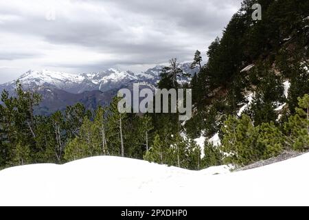 Blick auf das grüne Tal von Theth nach Valbone Wanderung mit schneebedeckten verfluchten Bergen, Theth, Albanien Stockfoto