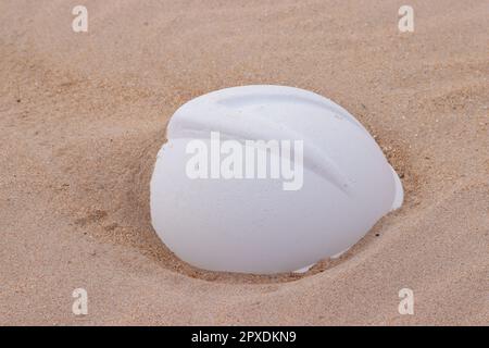 Die Plastikboje wurde am Strand angespült Stockfoto