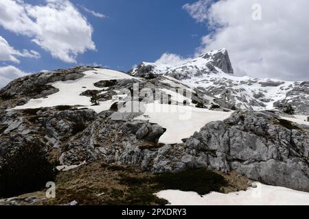 Vom Pass auf der Wanderung Theth nach Valbone, Albanien, können Sie den Blick über die schneebedeckten Gipfel der verfluchten Berge genießen Stockfoto