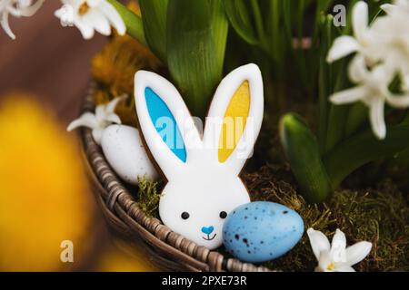 Osterhasen-Lebkuchen-Keks, der auf dem Hyazinthblütentopf liegt, Moos. Kaninchenohren sind gelb-blau als ukrainische Flagge gefärbt. Weiß und blau Easte Stockfoto