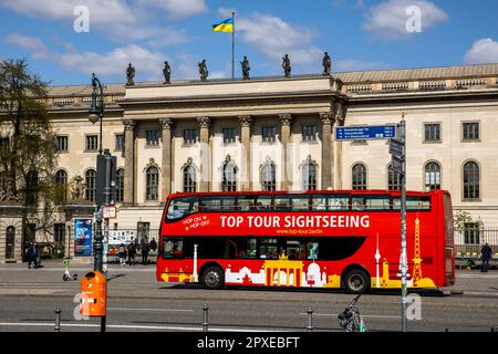 Hauptgebäude der Humboldt-Universität am Boulevard unter den Linden, Sightseeing-Bus, Bezirk Mitte, Berlin, Deutschland. Hauptgebaeude der Humbol Stockfoto