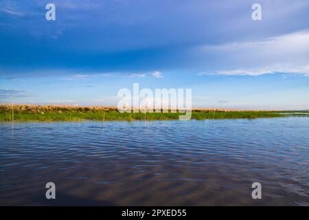 Schöne Aussicht auf den Padma Fluss in Bangladesch Stockfoto