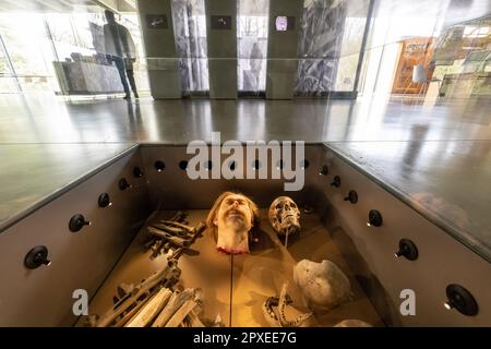 Manching, Deutschland. 02. Mai 2023. Besucher gehen durch die Räume des keltischen Römischen Museums Manching. Das Museum mit seiner Dauerausstellung ist nun nach dem Diebstahl des Goldschatzes wieder geöffnet. Kredit: Peter Kneffel/dpa/Alamy Live News Stockfoto