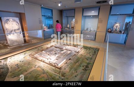 Manching, Deutschland. 02. Mai 2023. Besucher gehen durch die Räume des keltischen Römischen Museums Manching. Das Museum mit seiner Dauerausstellung ist nun nach dem Diebstahl des Goldschatzes wieder geöffnet. Kredit: Peter Kneffel/dpa/Alamy Live News Stockfoto