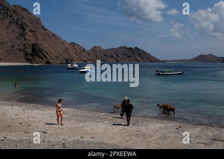 Touristen, die Padar Island in Labuan Bajo während der Trockenzeit besuchen, ein Ort mit einem einzigartigen Blick auf die Insel ist der Veranstaltungsort für die 2023 ASEAN Su Stockfoto