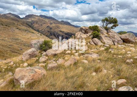 Nationalpark Andringitra, Region Haute Matsiatra, Madagaskar, wunderschöne Berglandschaft mit Wanderweg zum Gipfel und Massifen. Wandern in Andringitra Moun Stockfoto