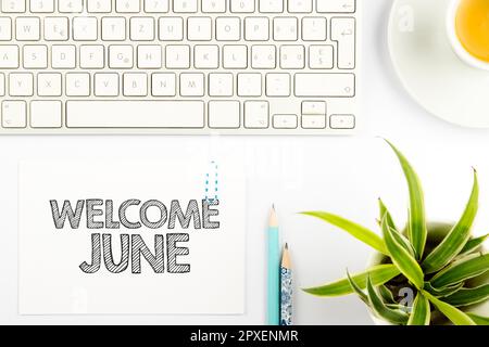 Handschrifttext Welcome June, Conceptual Photo Calendar Sixth Month Second Quarter Thirty Days Greetings Stockfoto