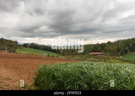 Wunderschöner Blick auf das landwirtschaftliche Ackerland an einem bedeckten Tag in wayanad in kerala, indien. Stockfoto