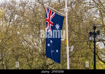 30. April 2023 Australian National Flag entlang der Mall, London UK, eine der Commonwealth Flaggen Vorbereitung auf die Krönung von König Karl III Stockfoto