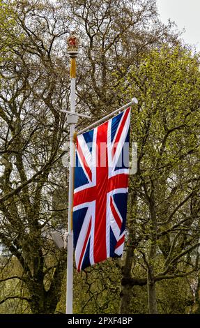 30. April 2023 Union Jack National Flag entlang der Mall, London UK, eine der Commonwealth Flags Vorbereitung auf die Krönung von König Karl III Stockfoto