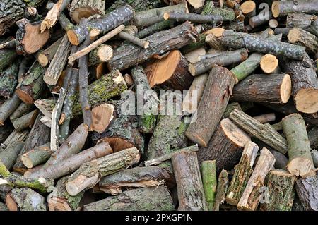 Eine Nahaufnahme eines Stapels frisch geschnittener Brennholzstämme, die auf einem Stapel übereinander angeordnet sind Stockfoto