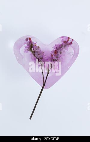 Zarte rosa Blumen, gefroren in einem Eisherz. Stockfoto