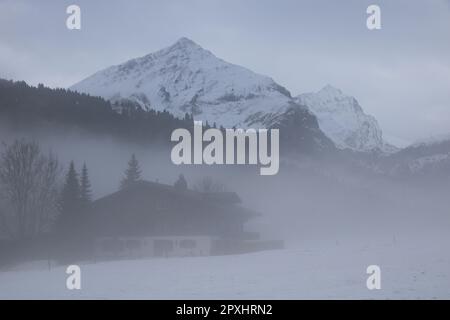 Nebeliger Wintermorgen im Saanenland-Tal. Stockfoto