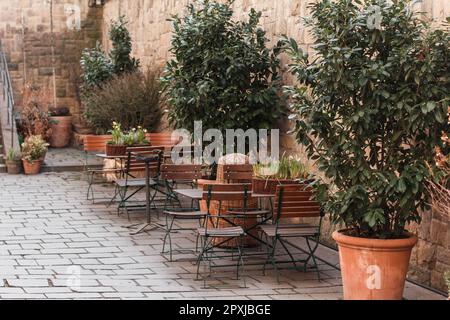 Gemütliches Café im Freien mit Metallstühlen und Holztischen, umgeben von Topfgrün. Ein bezaubernder europäischer Innenhof mit warmen Tönen und rustikalem Ambiente Stockfoto