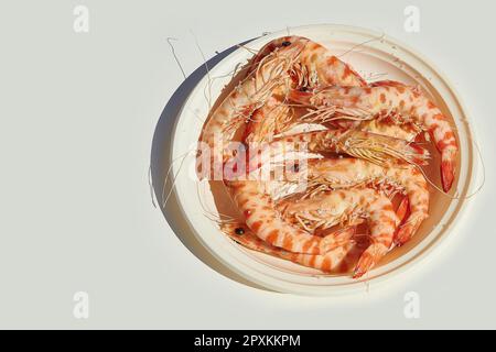 Saftige Huelva-Langoustinen, direkt aus dem Ozean gefangen, über Weißblech. Stockfoto