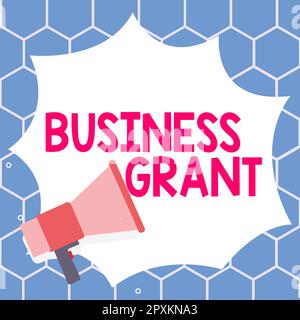 Konzeptionelle Darstellung Unternehmenszuschuss, Geschäftsübersicht Arbeitsstrategien erreichen Ziele Stockfoto