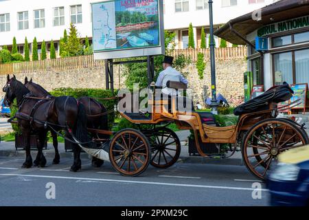 SOVATA, RUMÄNIEN - 24. AUGUST 2022: Pferdekutsche im Resort Sovata. Es ist bekannt für balneoklimaterische und Schlammbehandlungen. Sovata, Rumänien auf Augu Stockfoto
