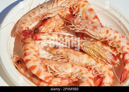 Saftige Huelva-Langoustinen, direkt aus dem Ozean gefangen, über Weißblech. Stockfoto