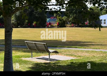 Eine Parkbank auf einer Grünfläche neben einem großen Baum, die eine friedliche Sitzmöglichkeit im Freien bietet Stockfoto