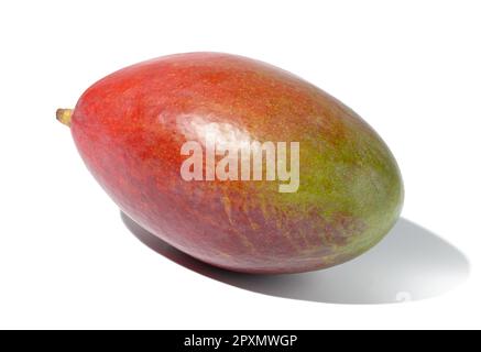 Ganze reife Mango auf einem weißen, isolierten Hintergrund Stockfoto