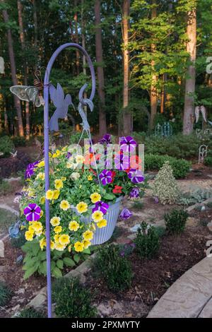 Aufhängen eines Blumenkorbs in einem Garten mit verschiedenen blühenden Pflanzen. Stockfoto