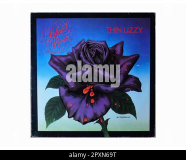 Thin Lizzy – Black Rose A Rock Legend – Vintage L.P Musik Vinyl Schallplatte Stockfoto