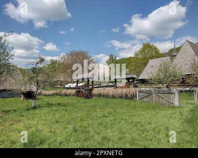 Alte Holzhäuser aus dem Kreis Maramures, Rumänien, im Dorfmuseum in Baia Mare. Und eine hölzerne orthodoxe Kirche in der Ferne Stockfoto