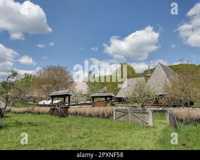 Alte Holzhäuser aus dem Kreis Maramures, Rumänien, im Dorfmuseum in Baia Mare. Und eine hölzerne orthodoxe Kirche in der Ferne Stockfoto