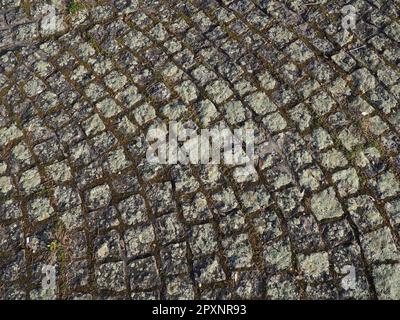 Gepflegte alte Pflastersteine. Bürgersteig auf dem Platz der Altstadt. Quadratische und rechteckige Steine auf dem Boden, mit Moos und Flechten bedeckt. Stockfoto