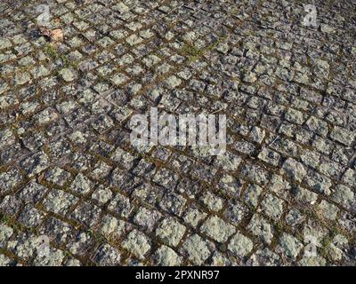 Gepflegte alte Pflastersteine. Bürgersteig auf dem Platz der Altstadt. Quadratische und rechteckige Steine auf dem Boden, mit Moos und Flechten bedeckt. Stockfoto