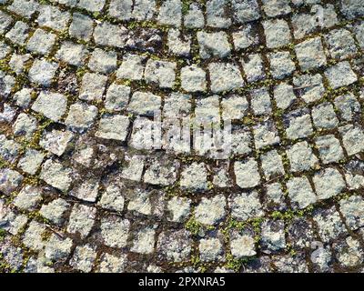 Gepflegte alte Pflastersteine. Bürgersteig auf dem Platz der Altstadt. Quadratische und rechteckige Steine auf dem Boden, mit Moos und Flechten bedeckt. Stockfoto