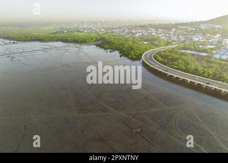 Luftaufnahme von Schlammflächen, Mangrovenwäldern, nachhaltiger Stadt und grünem Mangrovenwald. Mangroven fangen CO2 aus der Atmosphäre ein. Blaue Kohlenstoffökosys Stockfoto