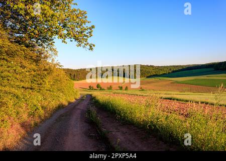 Malerische Feldstraße und Ackerland bei Sonnenuntergang in Werbach, Taubertal, Deutschland Stockfoto