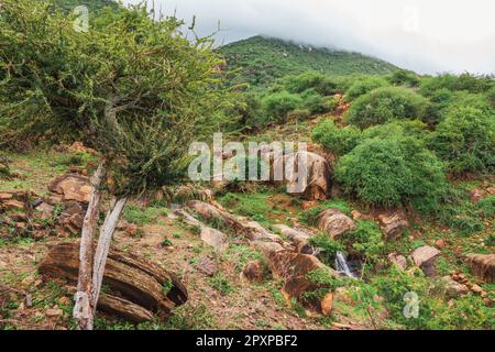 Malerischer Blick auf den Mount Longido in Tansania an einem nebligen Tag Stockfoto