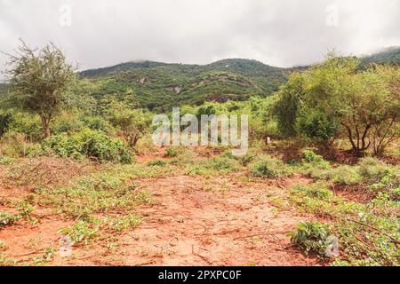 Malerischer Blick auf den Mount Longido in Tansania an einem nebligen Tag Stockfoto