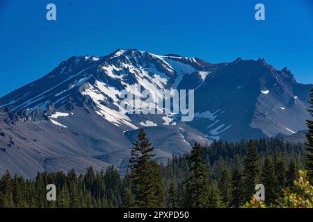 Mt. Shasta, Kalifornien, USA - 17. Juli 2022: Ausblicke auf Mt. Shasta, Siskiyou und nahe gelegene Alken und Bäche. Stockfoto