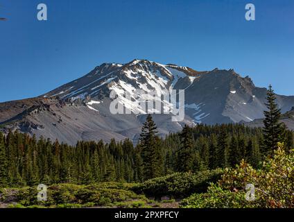 Mt. Shasta, Kalifornien, USA - 17. Juli 2022: Ausblicke auf Mt. Shasta, Siskiyou und nahe gelegene Alken und Bäche. Stockfoto