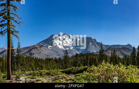 Mt. Shasta, Kalifornien, USA - 17. Juli 2022: Ausblicke auf Mt. Shasta, Siskiyou und nahe gelegene Alken und Bäche. Stockfoto