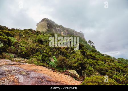 Malerischer Blick auf den Mount Longido in Tansania an einem nebligen Tag Stockfoto