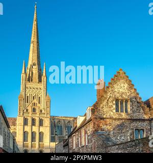 Die anglikanische Kathedrale in Norwich Norfolk, Großbritannien, gewidmet der Heiligen und ungeteilten Dreifaltigkeit. Der Bau begann 1096 und wurde 1145 abgeschlossen. Stockfoto