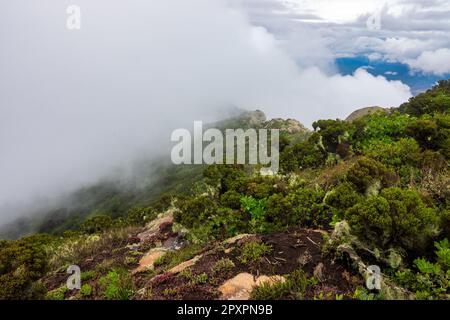 Malerischer Blick auf den Mount Longido in Tansania an einem nebligen Tag Stockfoto