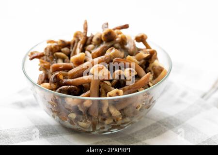 Gefrorene Waldpilze Honigagarik in Glasschüssel auf Serviette auf weißem Hintergrund. Gesunde Bio-Lebensmittel. Frosten ist Vitaminkonservierung. Horizont Stockfoto