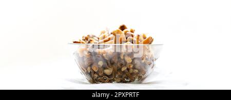 Breites Banner mit Glasschüssel aus gefrorenen Waldpilzen Honigagarics auf weißem Hintergrund. Werbung für gesunde Bio-Lebensmittel. Einfrieren ist Konservierung o Stockfoto