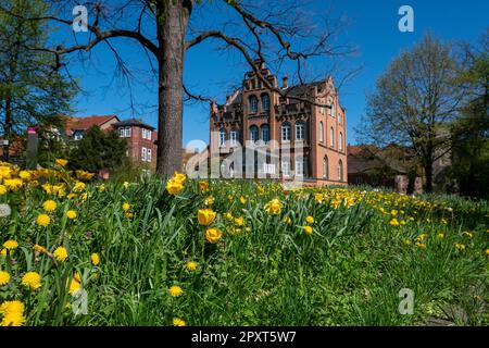 Blumenwiese im Frühling dahinter ein schönes altes Haus aus einer vergangenen Epoche Stockfoto