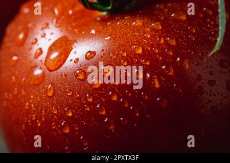 Reife Tomate mit Tau auf der Haut. Makroaufnahme. Stockfoto