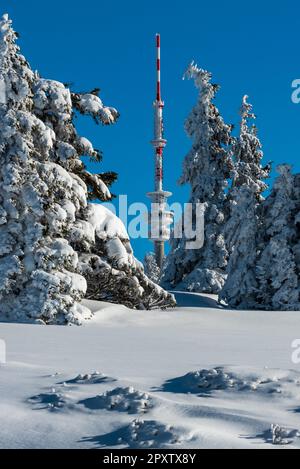 Kommunikationsturm auf dem Praded Hügel im Winter Jeseniky Berge in der Tschechischen republik Stockfoto