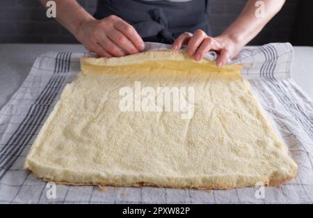 Frisch gebackener Biskuitkuchen für schweizer Brötchen, zum Abkühlen aufgerollt auf einem zuckerhaltigen Geschirrtuch von Frauenhänden Stockfoto